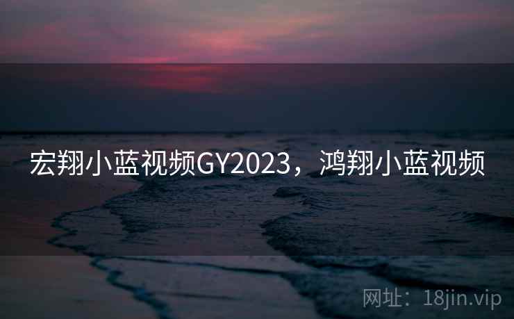 宏翔小蓝视频GY2023，鸿翔小蓝视频